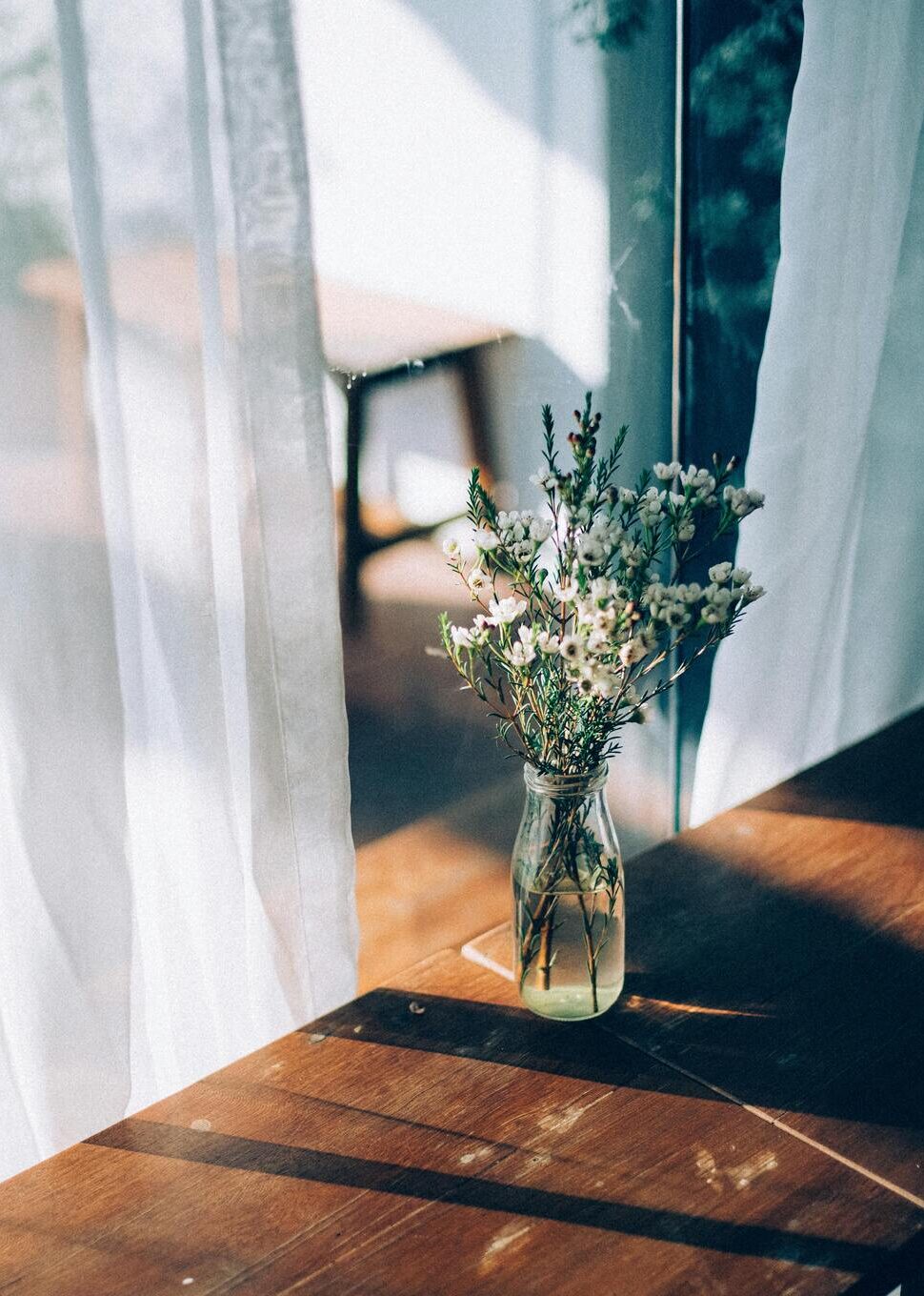The Luxury of Natural Light: Why Sunlit Homes Are the Future of Urban Living